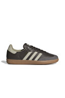Brown-Beige/481