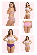 Mink, Lilac, Pink, Salmon, Damson