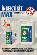 حشره کش Max Bedbug Ant Scorpion Tick Spider Cockroach Housefly 2 لیتری و حشره 500 میلی لیتری-thumb