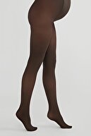Chestnut