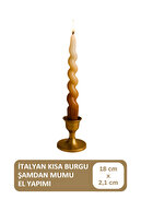 Beige & Brown Toggle