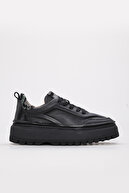 221-163-243 black