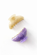 Purple and Bone White