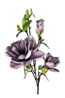 purple dark