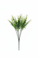 GREEN / WHITE