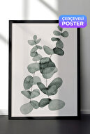 Black Frame