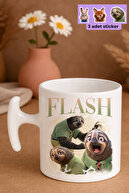 flash