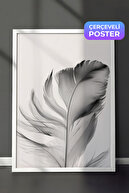 White Frame