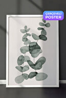 White Frame