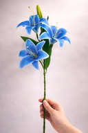 blue