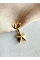 Starfish.