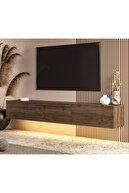 Istanbul Walnut