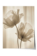 Frameless Poster