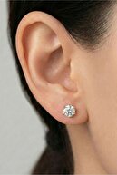 Rose 6 mm