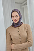 Brown-Blue-Purple