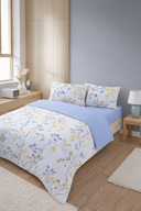 Blue-Yellow