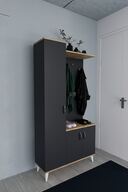 Anthracite-Atlantic Pine