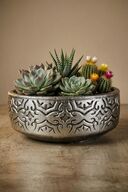 Silver Antiquity