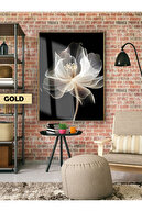 Choose GOLD