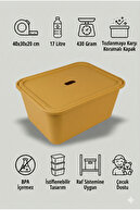 Mustard Yellow
