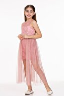 Dusty Rose
