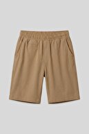 Beige Dark