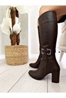 Brown Buckle