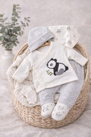 White-Grey Koala
