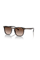TORTOİSE - BROWN