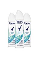 Rexona Kadın Deodorant Sprey Shower Fresh 150 ml X3