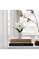 IKEA Fejka Dekoratif Saksılı Yapay Bitki Beyaz Iç Dış Mekan 15 Cm
