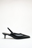 Banded Black