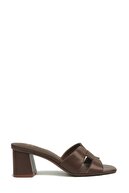 Brown-102052573