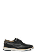 Navyblue-101968510
