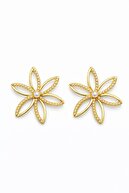 Golden Jasmine