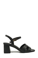 BLACK-102052567