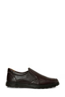 Brown-102239933