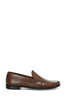 Brown-101968693