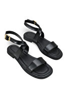 Black Rustic