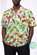White Parrot
