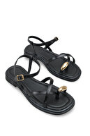 Black Rustic