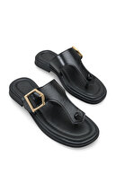 Black Rustic