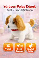 White Dog