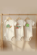 Turtle and Rabbit