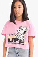 PEMBE-PN253