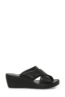 BLACK-102250575