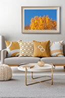YELLOW / WHITE