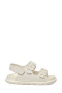 Beige-102252755