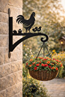 Chicken Rooster