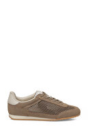 Brown-102242432